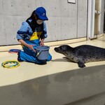 トンカツ・トンしゃぶ ケンボロー - アクアス