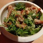 코테쥬우 히카리마치점