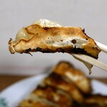 ぎょうざ 大学 - 