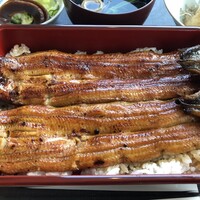 鰻 若松 - 