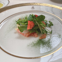 SALONE TOKYO - 