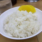 北海道ラーメン 赤レンガ - 