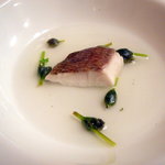 アル・ケッチァーノ - 【真鯛とみずの実】♪2009/10