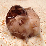 銀座 鮨 かねさか - トリガイ