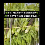 菜食健美 里味 - さとのあじ　satonoaji Instagramより　　byまみこまみこ