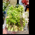 菜食健美 里味 - コシアブラ　めちゃくちゃ新鮮でめちゃくちゃ状態が良いのでかなりびっくりです　香りも甘味も風味も素晴らしすぎます！　byまみこまみこ