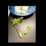 菜食健美 里味 - 個人的感想ですが、コシアブラご飯は左　天ぷらには右の筆葉があってるような気がしてます！　byまみこまみこ