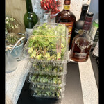 菜食健美 里味 - 天麩羅はプロに任せたいのでお店に持って行ってあげてもらいました　　byまみこまみこ