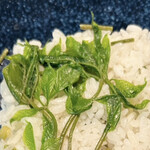 菜食健美 里味 - コシアブラの葉先　byまみこまみこ