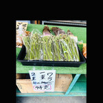 菜食健美 里味 - ワラビ　byまみこまみこ