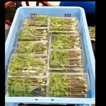 菜食健美 里味 - これはほんの、一部です！凄い沢山のコシアブラ〜　byまみこまみこ