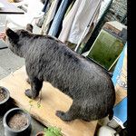 菜食健美 里味 - satonoajiの熊　byまみこまみこ