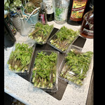 菜食健美 里味 - 結構　筆葉のコシアブラを買ってきました！　byまみこまみこ