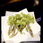 菜食健美 里味 - 2回に分けて　今度は少し長めのコシアブラ　葉っぱがポテチみたいな香りもするんです　byまみこまみこ