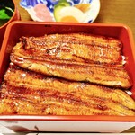 うなぎ亭 友栄 - うな重