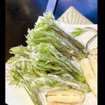 菜食健美 里味 - satonoajiのコシアブラの天麩羅　《志木　まるこ》　byまみこまみこ