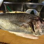 ちゃきちゃき - メダイ