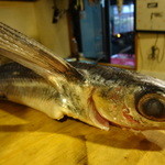 ちゃきちゃき - とびうお