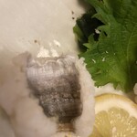 ふぐ・かに・はも 輝月 - 