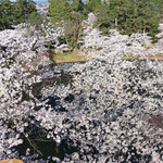 喫茶 北の郭 - 弘前城本丸未申槍跡からの眼下に広がる満開の桜