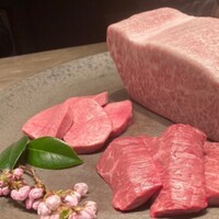 USHIGORO S. SHINJUKU - 