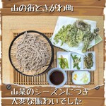 菜食健美 里味 - 秘境の絶品グルメとかってわけではなく、街道筋にある普通の定食屋さんですよ。近隣で採れるお肉や山野草を普通に使ってるだけです。