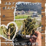 菜食健美 里味 - ともん先生もこれは教えてくれなかった！！