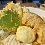 うどん屋 椀白 - 2024.4.18  とり玉天ぶっかけうどん 冷