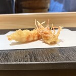 Kyoubashi Tempura To Sushi Ishii - 車海老