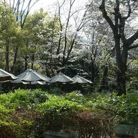 TEIEN Restaurant comodo - 