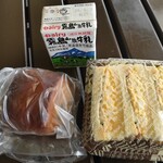 パネテリア フラゴラ - 