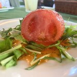 シトラス - トマトサラダ(切断面)