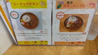 h Curry&Spice HANAKO - 日替わりカレーと季節限定のカレーになります