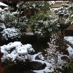 Ootsu Uochuu - 庭に初雪