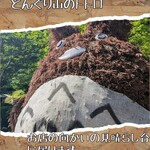 菜食健美 里味 - こいつがトトロだと今回初めて知りました