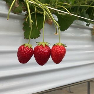 ラ・フレーズ_2