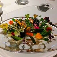 レフェルヴェソンス - 