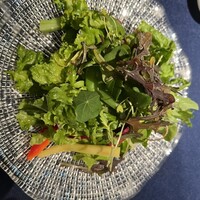 サンタ・マリア・ノヴェッラ・ティサネリーア 京都店 - 