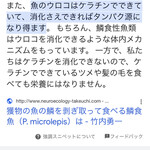 焼きもの家 慶 - 