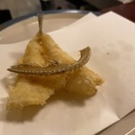 Tempura Wakatake - 