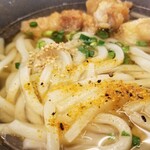 Yamashita Honki Udon - うどんの麺の表情など。