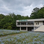 森のレストラン - 