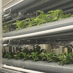 ガレリア 梅田 - 