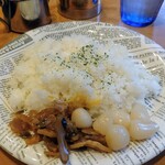 Kikuya Curry - ライス大盛無料