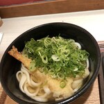 Udon Tsurukoshi - 