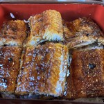 江島牡丹園 深見草 - 