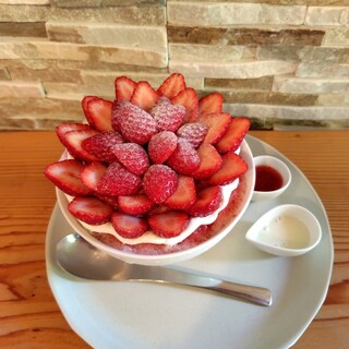 お庭 シェイブアイス ミラコロ_0