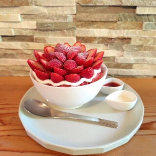 お庭 シェイブアイス ミラコロ_1