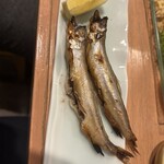 和酒とやきとり 朱雀 - 