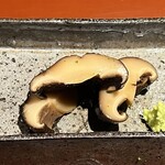 馳走 啐啄一十  - 